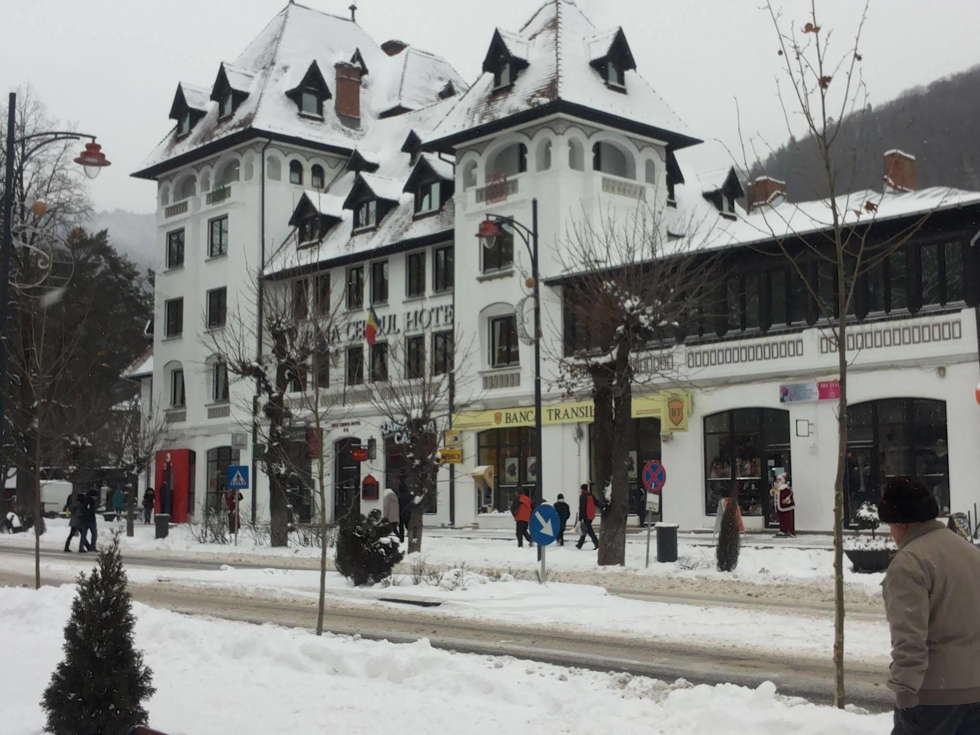 Hotel Rina Cerbul Sinaia Bagian luar foto